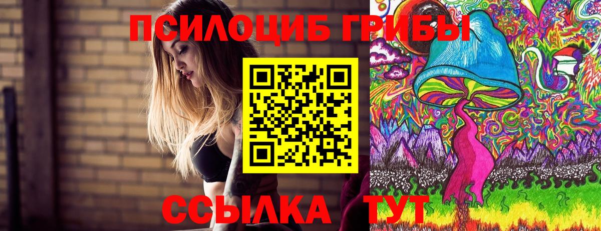 Галлюциногенные грибы GOLDEN TEACHER Азнакаево